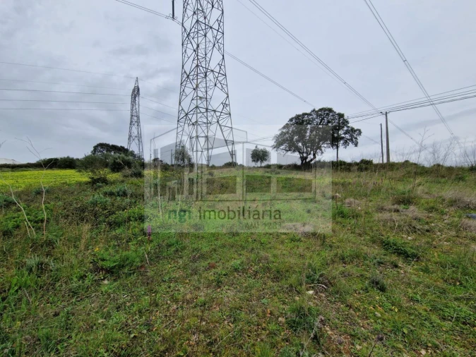 Terreno para Venda em Santiago dos Velhos Foto 3
