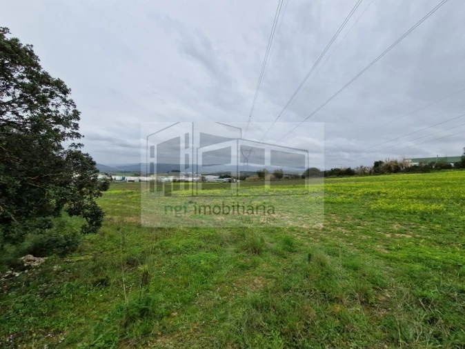Terreno para Venda em Santiago dos Velhos Foto 4