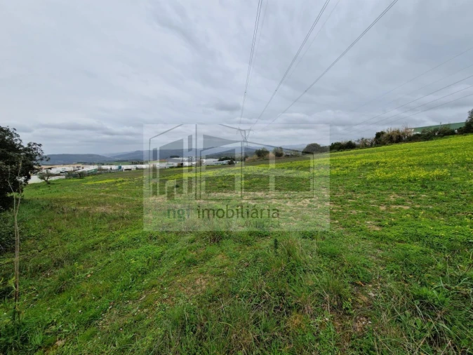 Terreno para Venda em Santiago dos Velhos Foto 7