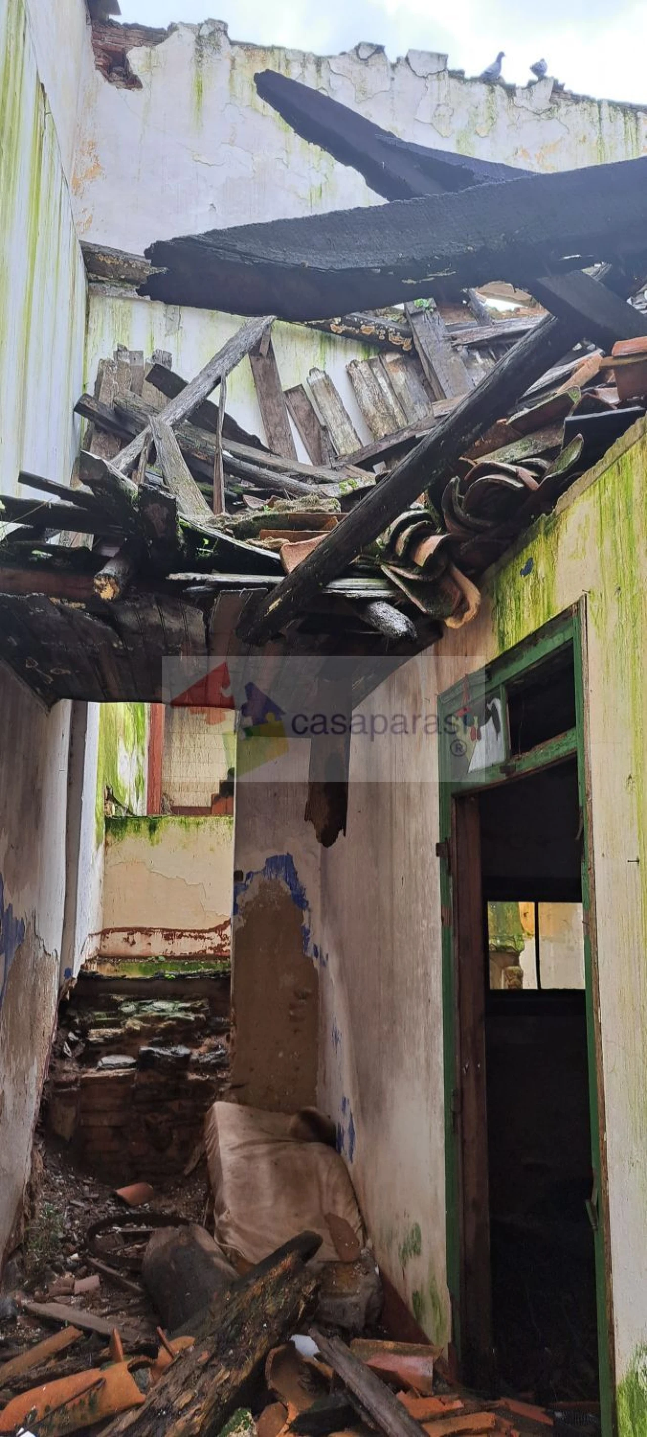 Moradia T4 para Venda em Galveias Foto 3