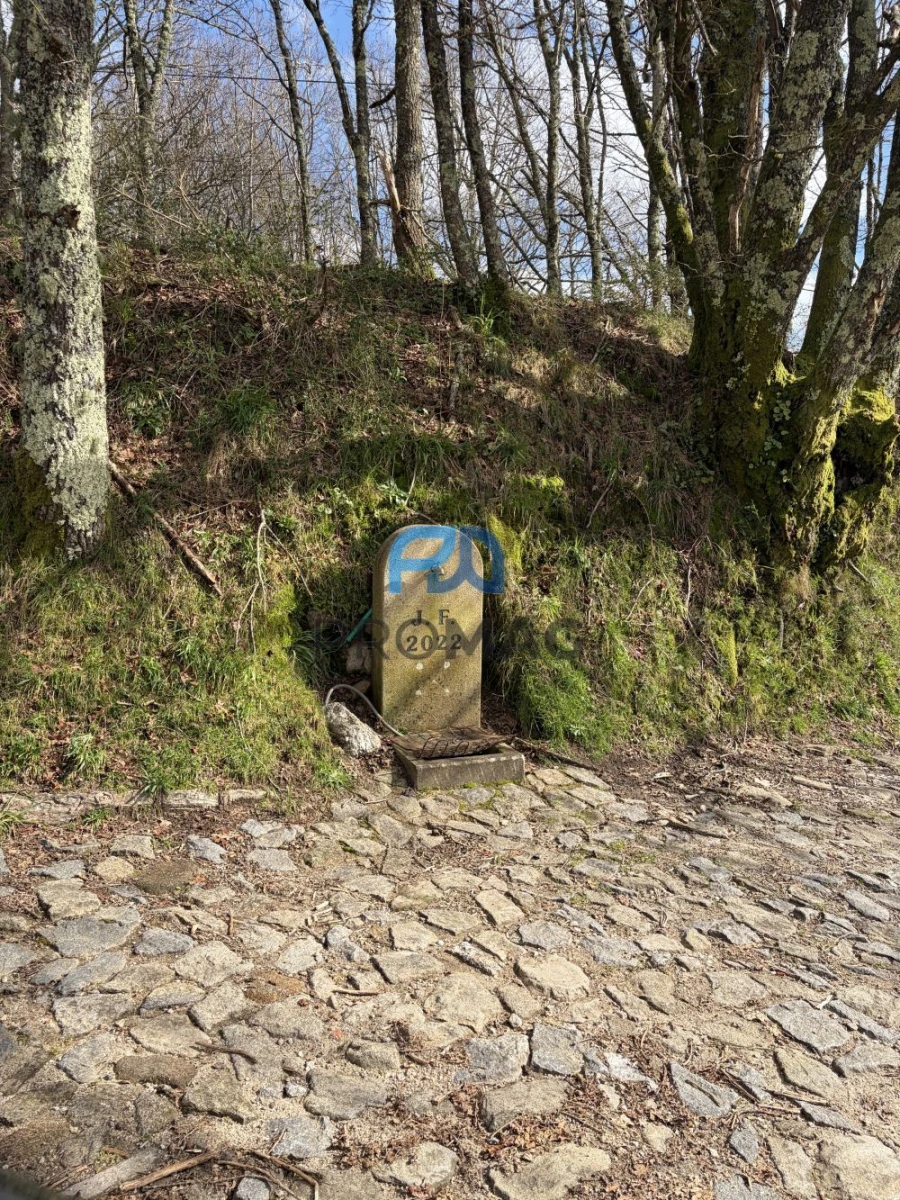 Loja para Venda em Agualonga Foto 38