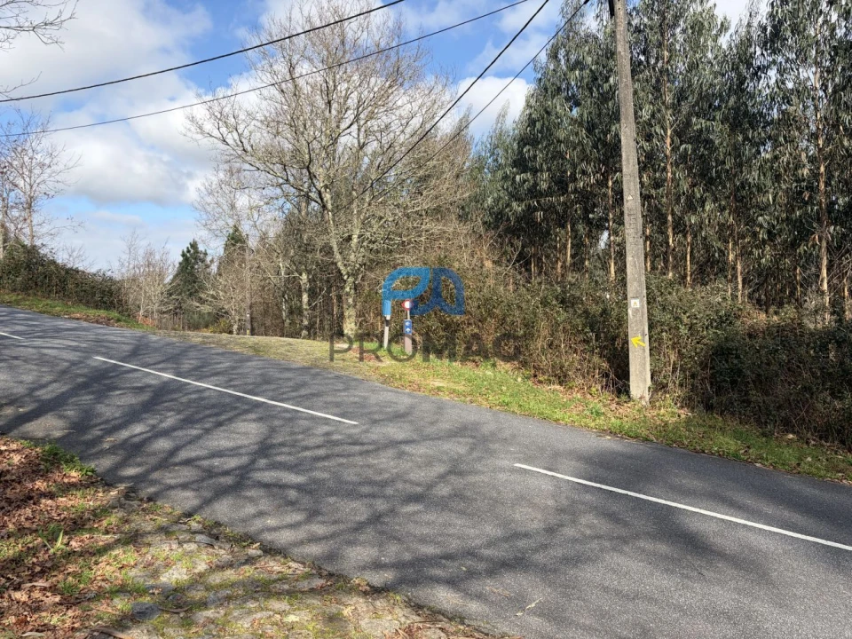 Loja para Venda em Agualonga Foto 22