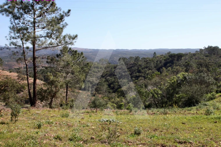 Terreno Misto para Venda em Aljezur Foto 1