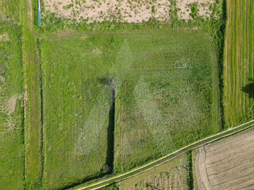 Terreno para Venda em Eixo e Eirol Foto 7