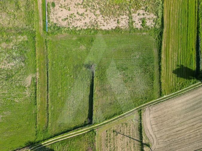 Terreno para Venda em Eixo e Eirol Foto 8