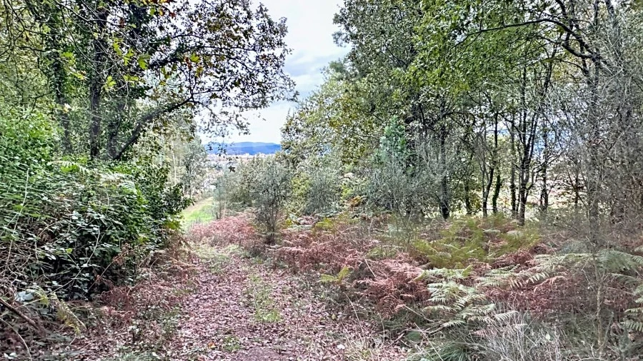 Terreno Agricola ou Rústico para Venda em Ganfei
