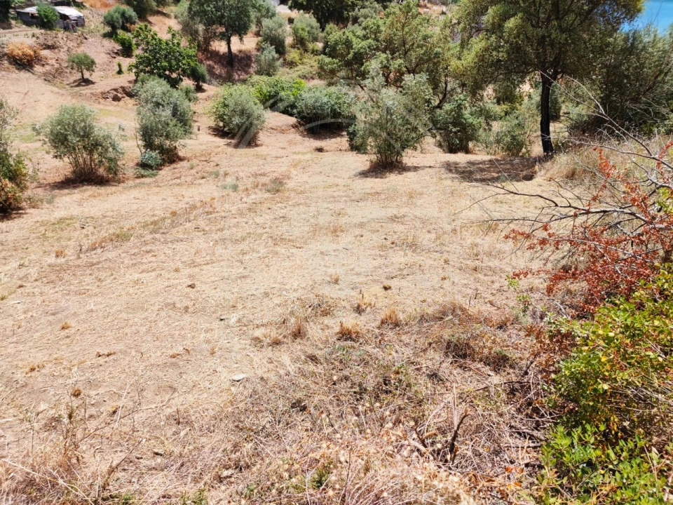 Terreno para Venda em Serra e Junceira Foto 23