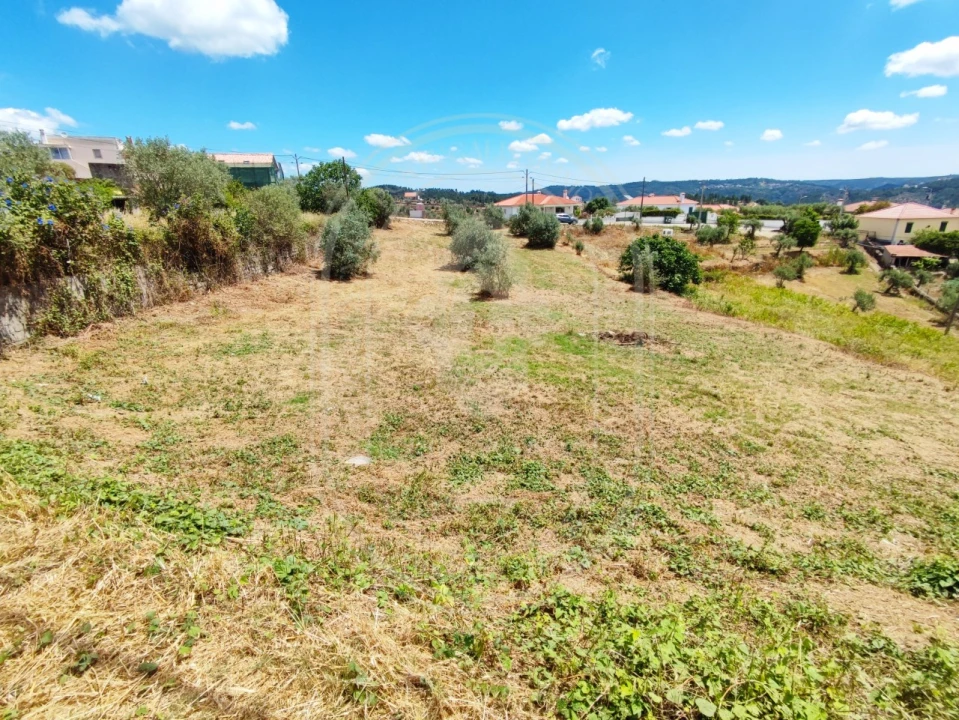 Terreno para Venda em Serra e Junceira Foto 30
