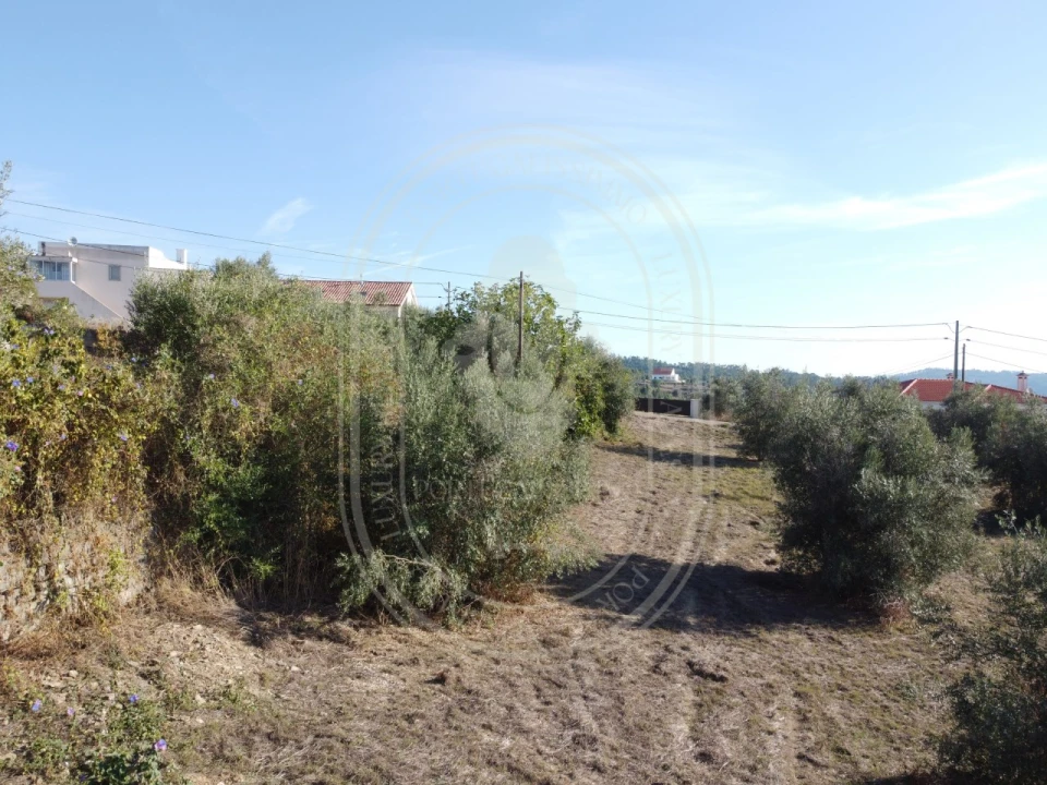 Terreno para Venda em Serra e Junceira Foto 37