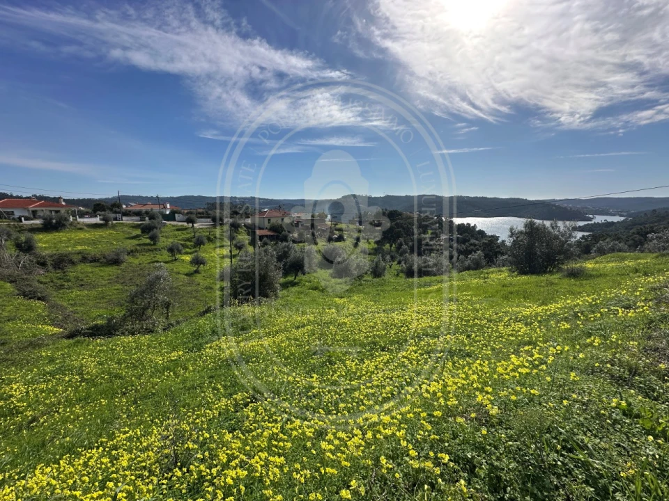 Terreno para Venda em Serra e Junceira Foto 2