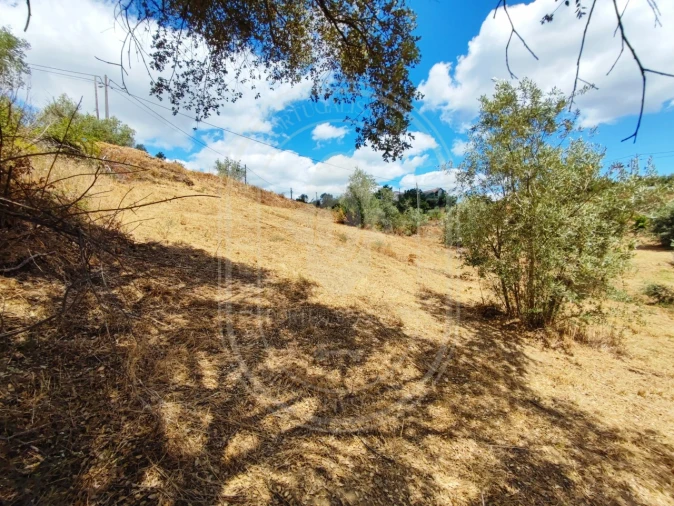 Terreno para Venda em Serra e Junceira Foto 16