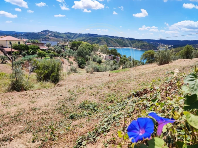 Terreno para Venda em Serra e Junceira Foto 31