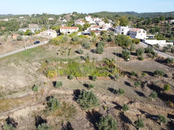 Terreno para Venda em Serra e Junceira Foto 5