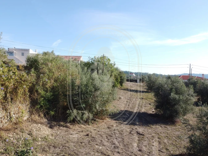 Terreno para Venda em Serra e Junceira Foto 37