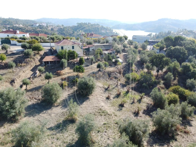 Terreno para Venda em Serra e Junceira Foto 43