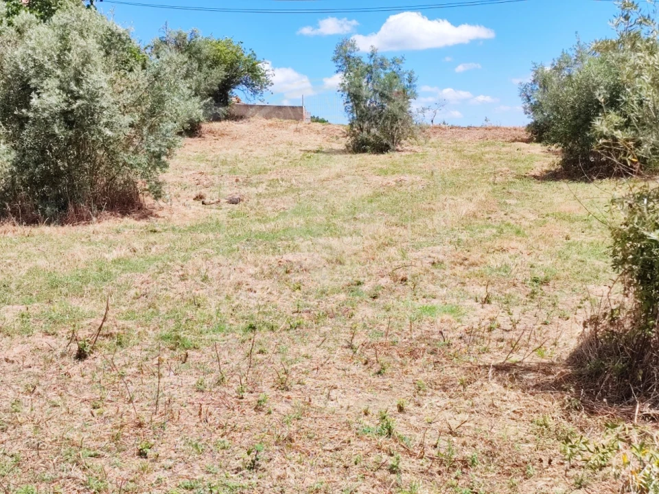 Terreno para Venda em Serra e Junceira Foto 6