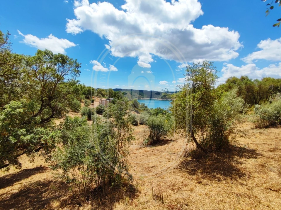 Terreno para Venda em Serra e Junceira Foto 11