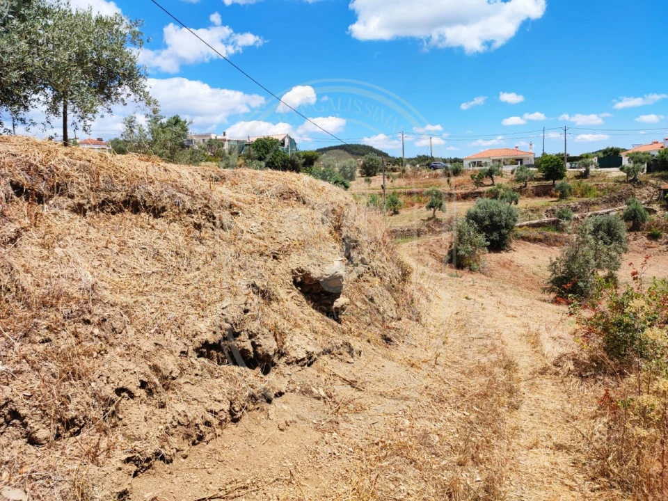 Terreno para Venda em Serra e Junceira Foto 20