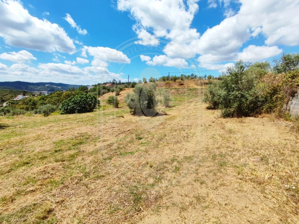 Terreno para Venda em Serra e Junceira Foto 31