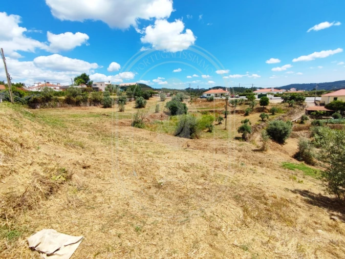 Terreno para Venda em Serra e Junceira Foto 23