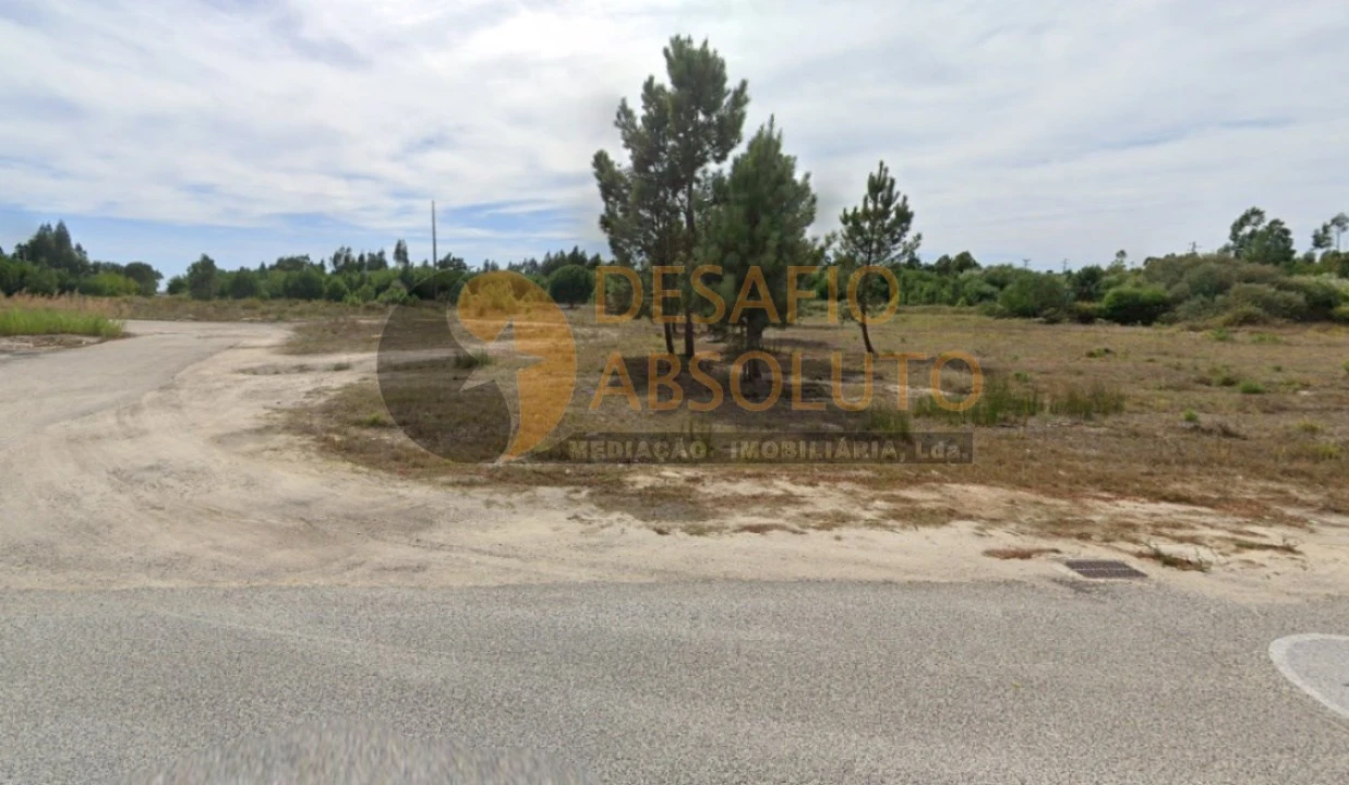 Terreno Agricola ou Rústico para Venda em Pegões Foto 2