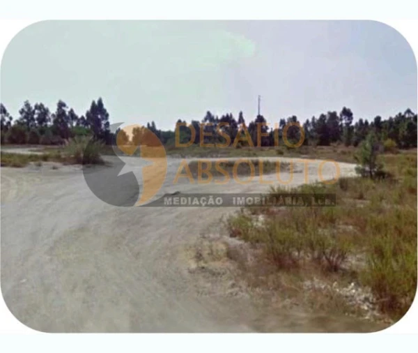 Terreno Agricola ou Rústico para Venda em Pegões Foto 3