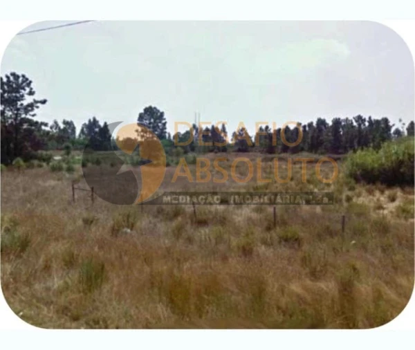 Terreno Agricola ou Rústico para Venda em Pegões Foto 4