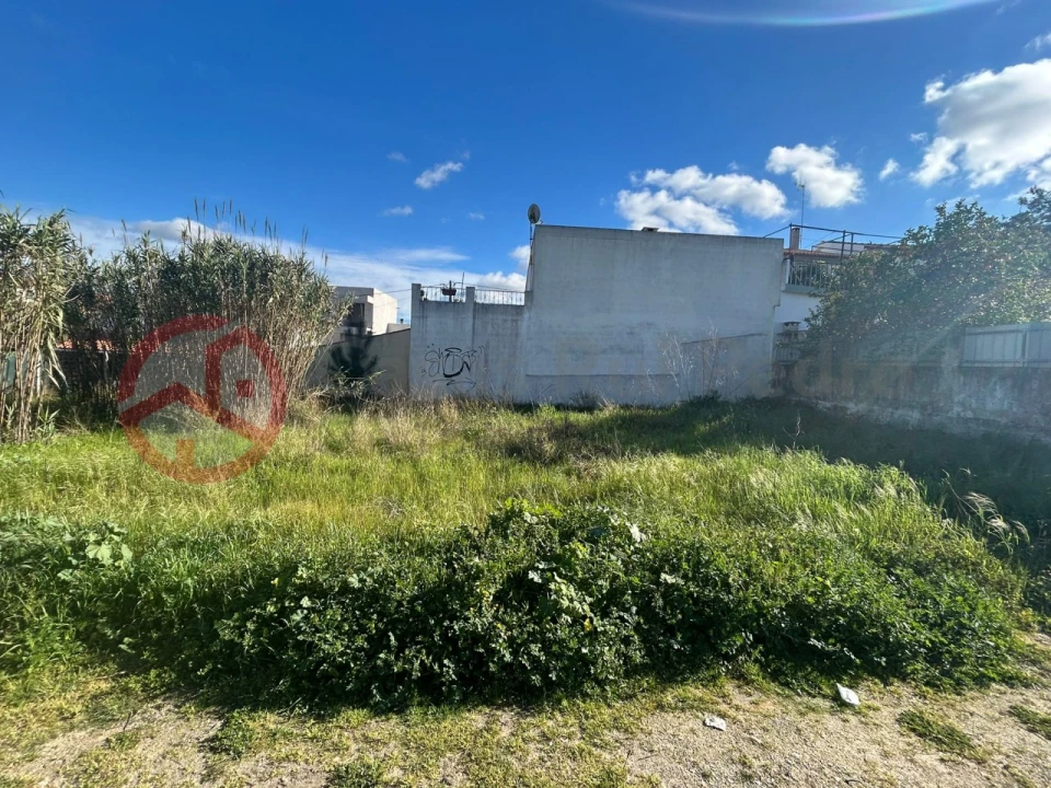 Terreno para Venda em Azeitão (São Lourenço e São Simão) Foto 6