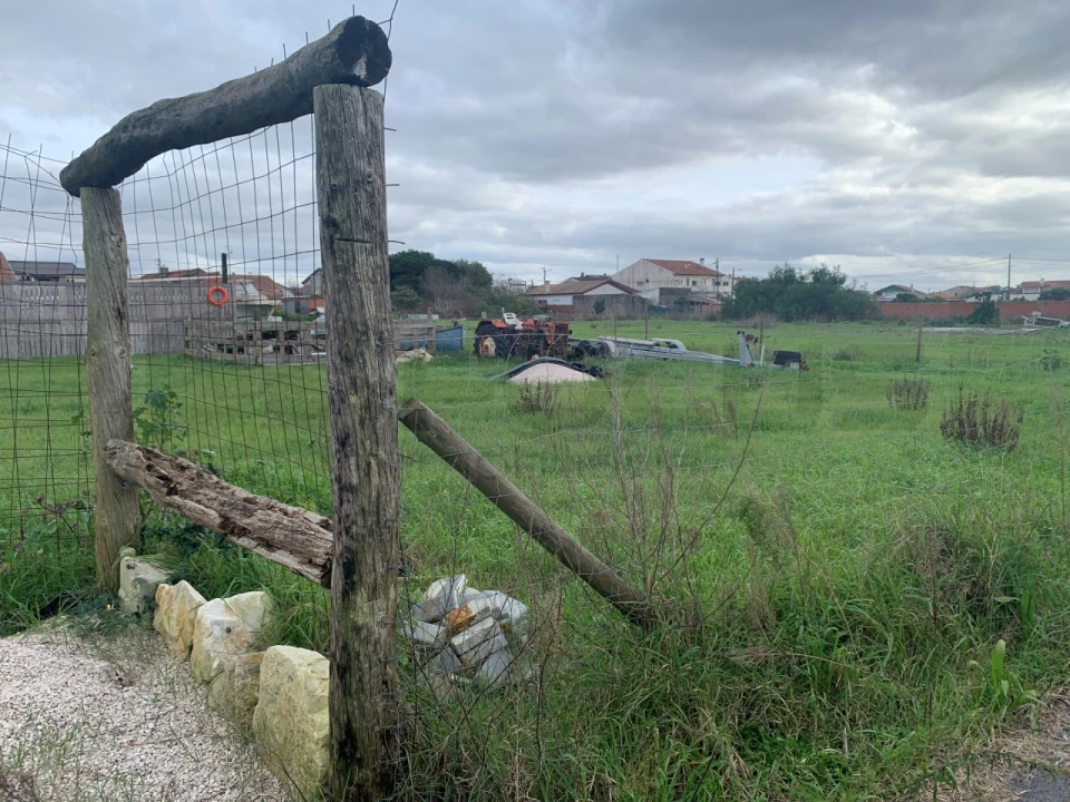 Terreno Agricola ou Rústico para Venda em Gafanha da Encarnação Foto 3