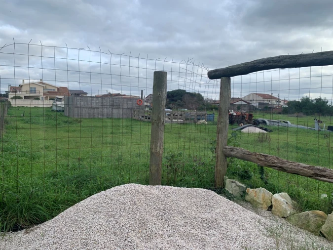Terreno Agricola ou Rústico para Venda em Gafanha da Encarnação Foto 5