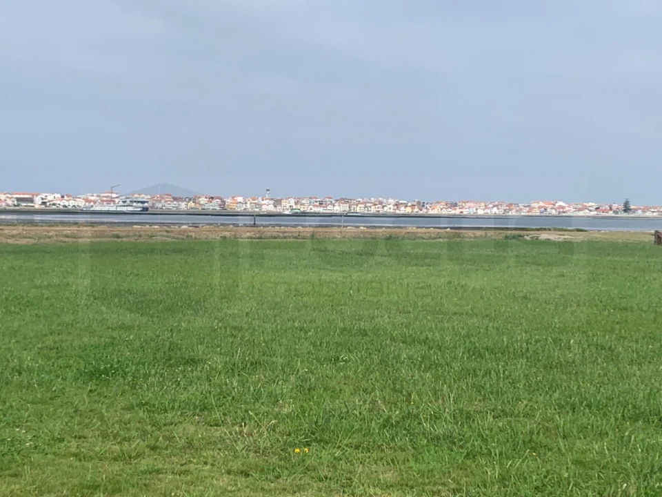 Terreno Agricola ou Rústico para Venda em Gafanha da Encarnação Foto 1