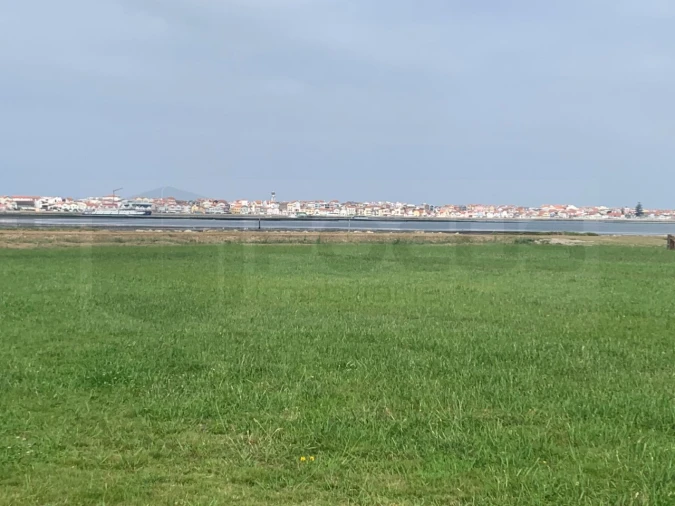 Terreno Agricola ou Rústico para Venda em Gafanha da Encarnação Foto 1