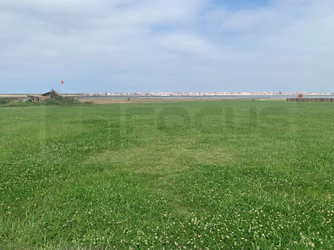 Terreno Agricola ou Rústico para Venda em Gafanha da Encarnação Foto 2