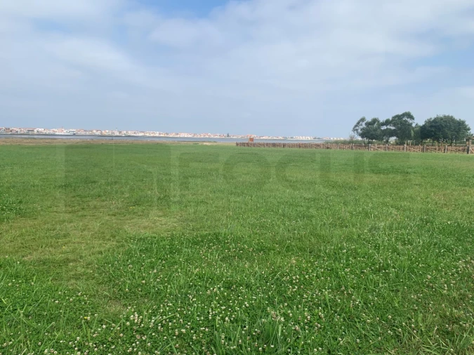 Terreno Agricola ou Rústico para Venda em Gafanha da Encarnação Foto 3