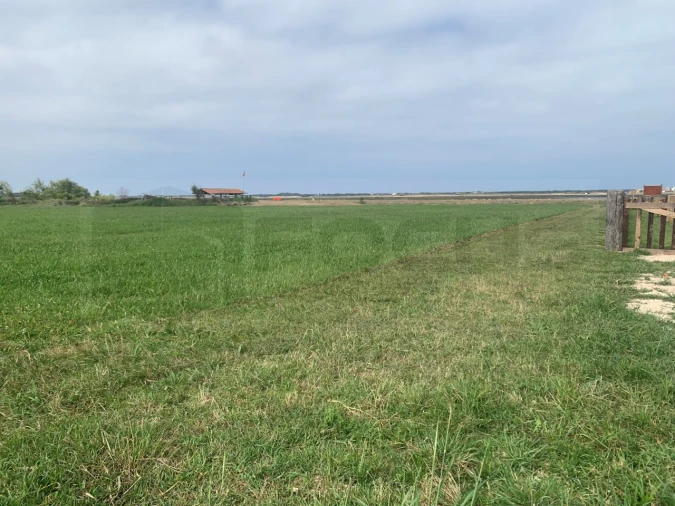 Terreno Agricola ou Rústico para Venda em Gafanha da Encarnação Foto 6