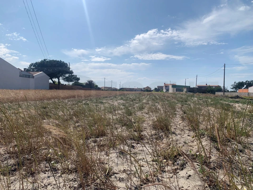 Terreno Agricola ou Rústico para Venda em Gafanha da Boa Hora Foto 1
