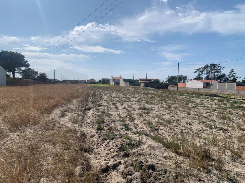 Terreno Agricola ou Rústico para Venda em Gafanha da Boa Hora Foto 3