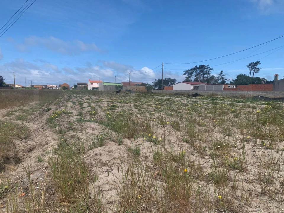 Terreno Agricola ou Rústico para Venda em Gafanha da Boa Hora Foto 5
