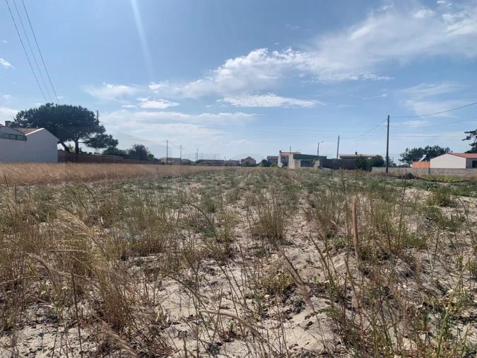 Terreno Agricola ou Rústico para Venda em Gafanha da Boa Hora Foto 2