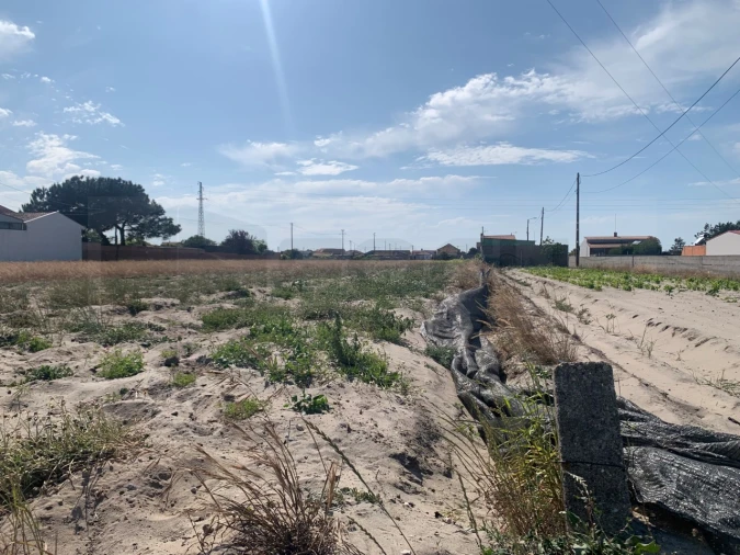 Terreno Agricola ou Rústico para Venda em Gafanha da Boa Hora Foto 4