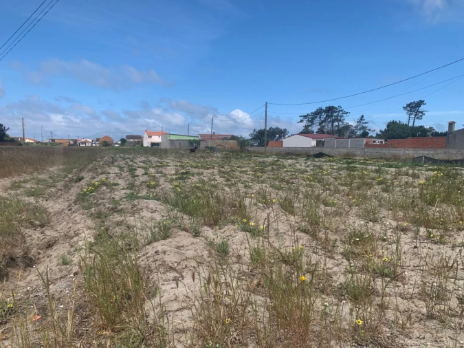 Terreno Agricola ou Rústico para Venda em Gafanha da Boa Hora Foto 5