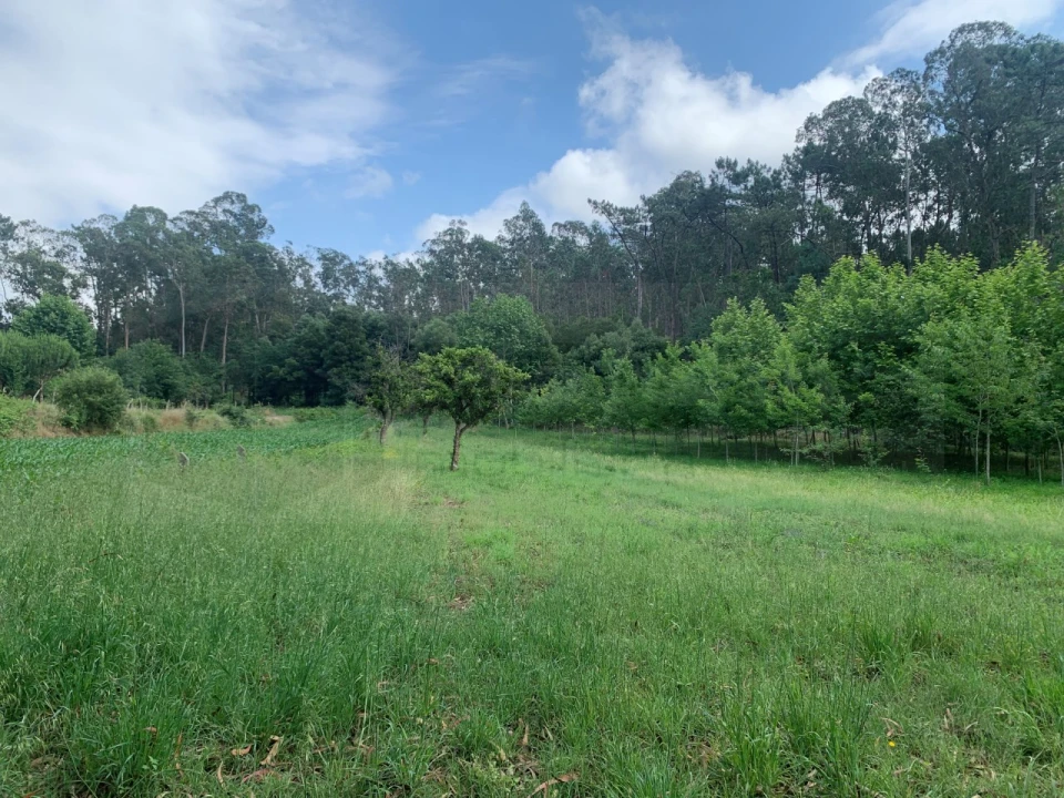 Terreno Agricola ou Rústico para Venda em Eixo e Eirol Foto 29