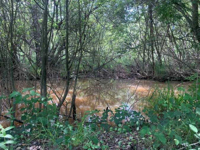 Terreno Agricola ou Rústico para Venda em Eixo e Eirol Foto 5