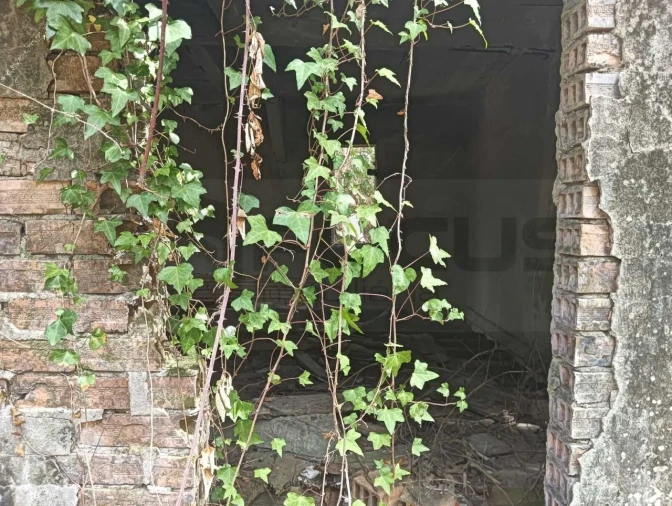 Terreno Agricola ou Rústico para Venda em Ouca Foto 2