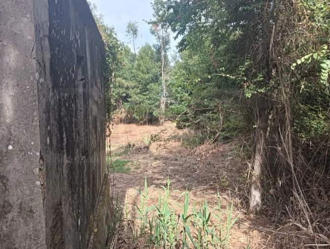Terreno Agricola ou Rústico para Venda em Ouca Foto 4