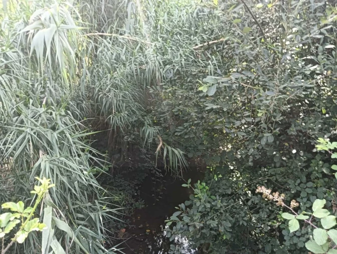 Terreno Agricola ou Rústico para Venda em Ouca Foto 6