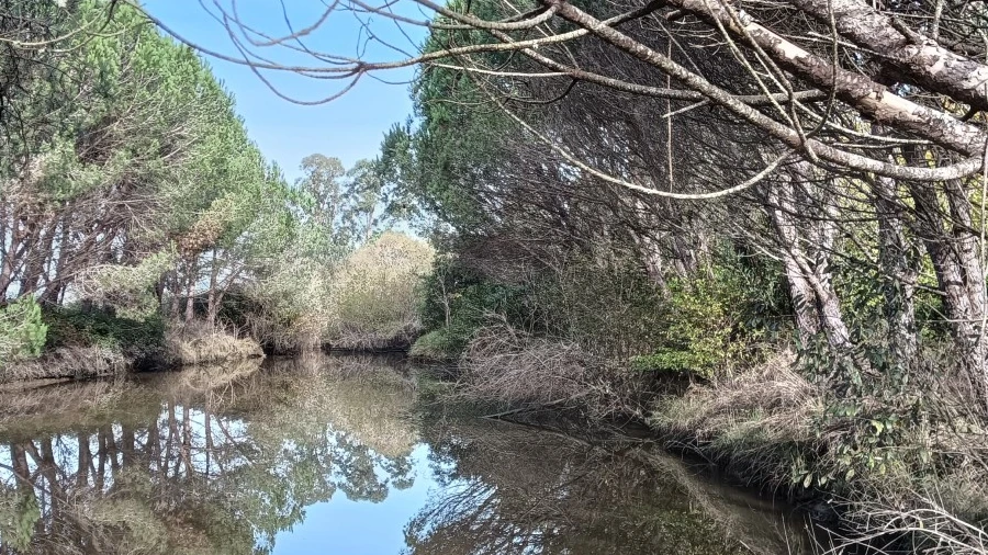 Terreno Agricola ou Rústico para Venda em Ouca