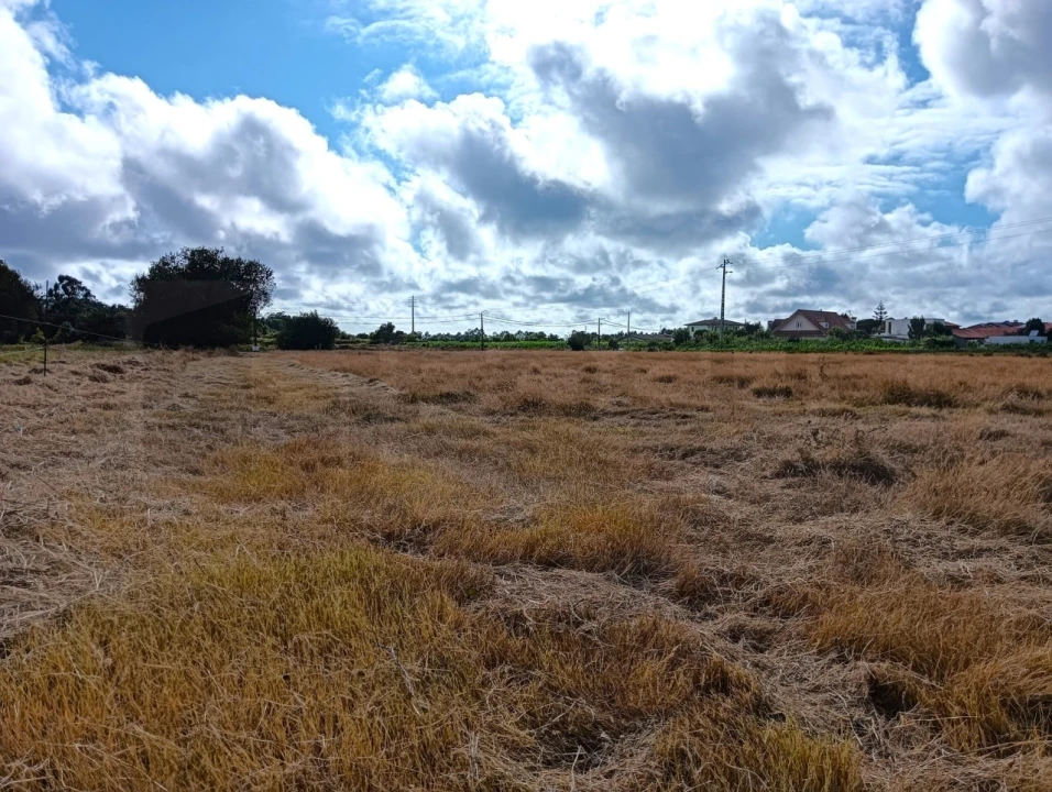 Terreno Agricola ou Rústico para Venda em Cacia Foto 16