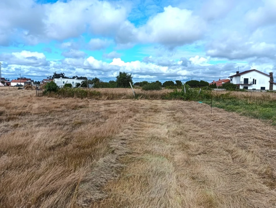 Terreno Agricola ou Rústico para Venda em Cacia Foto 17
