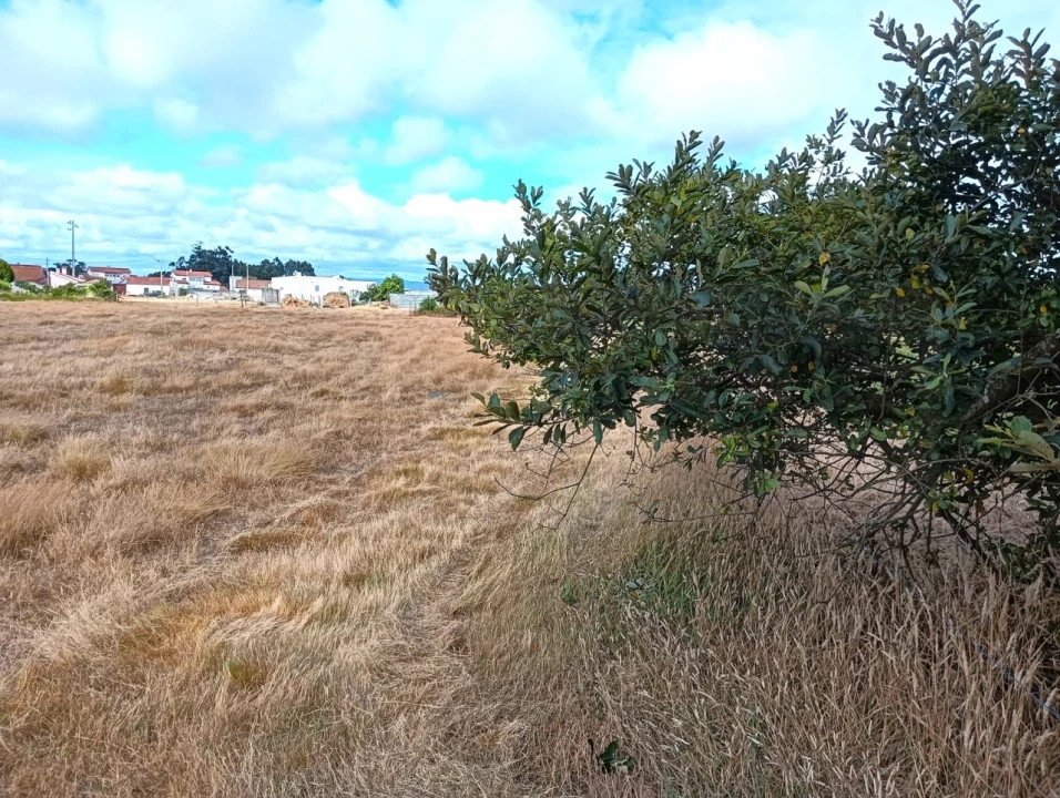Terreno Agricola ou Rústico para Venda em Cacia Foto 19